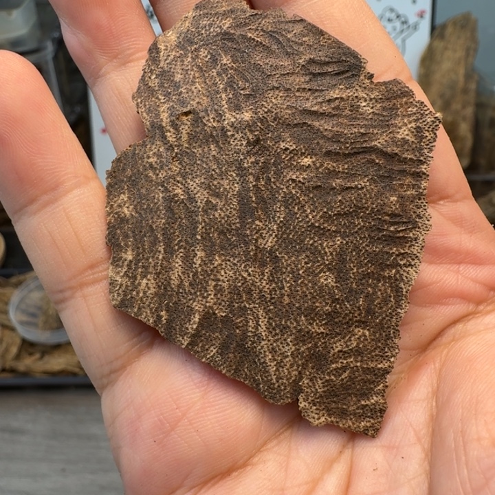 海南大山老铁2.4克