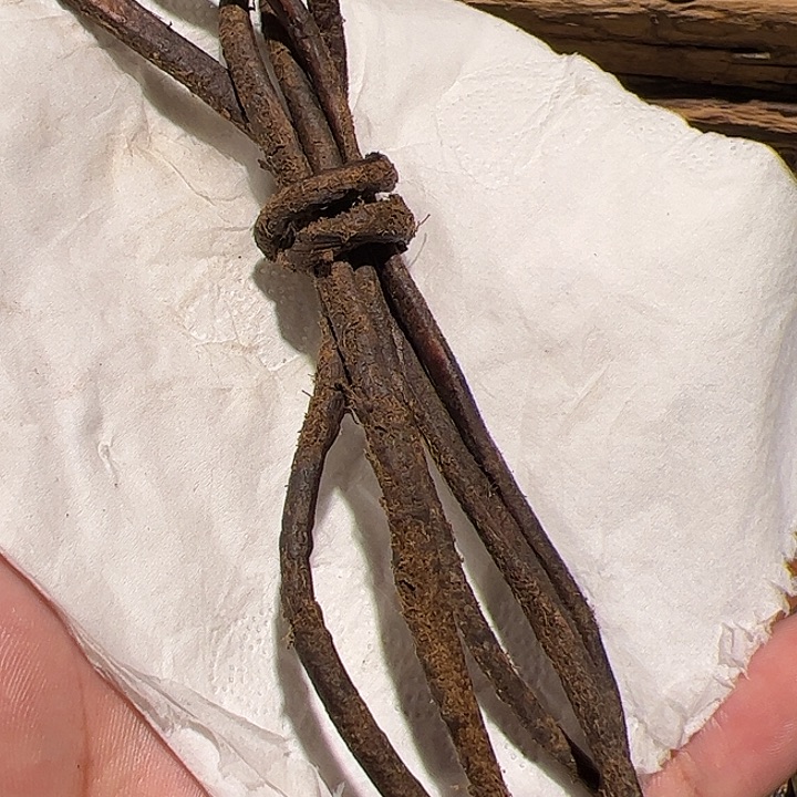 香榧木在家了一个小时