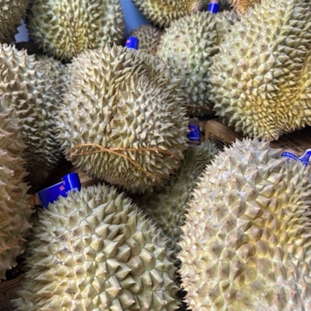 马菲斯泰鲜泰国树熟鲜榴莲（核小）26.8/斤金枕泰国