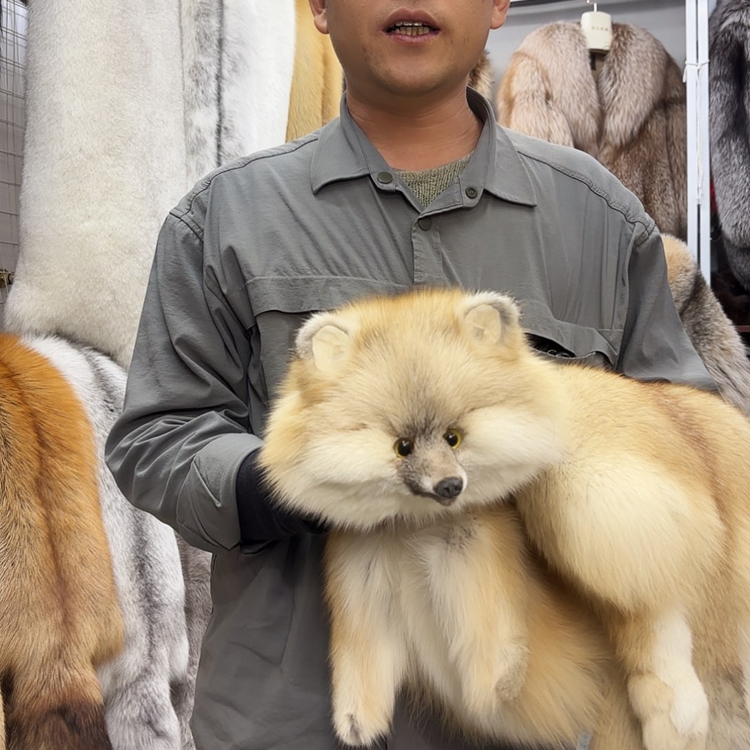 三醋酯纤维狐狸皮