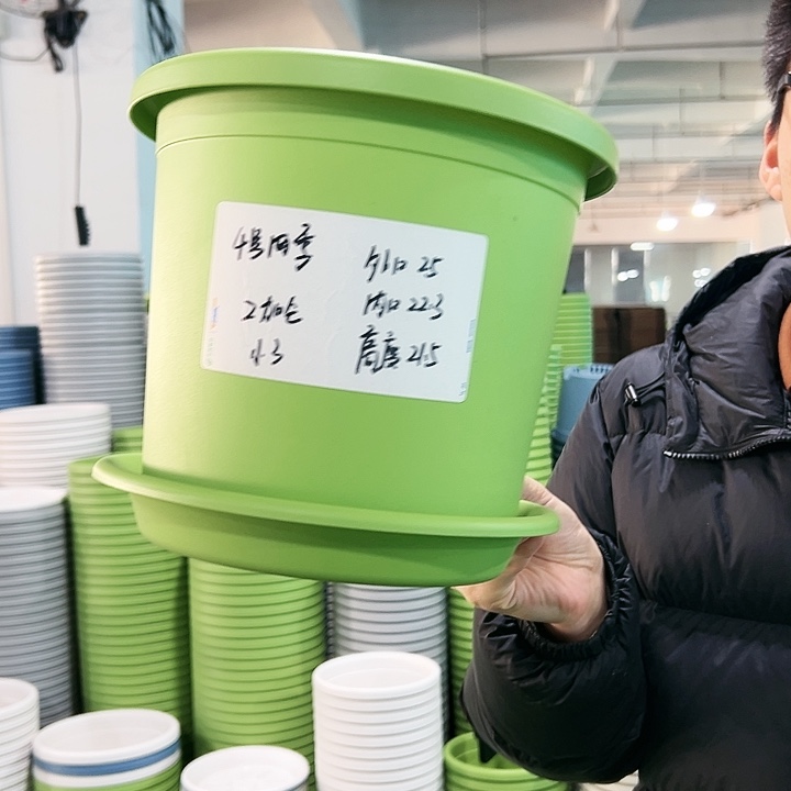 特价4号四季口25高21.5果绿带托10只