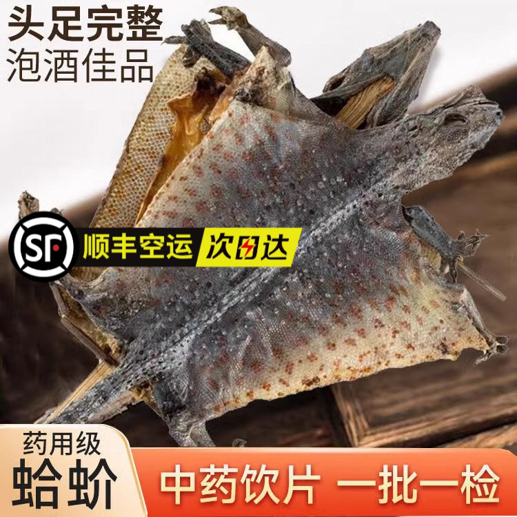 蛤 蚧干货一对蛤芥中药大蛤蚧酒蛤蚧粉中药饮片打粉代煎抓配店铺