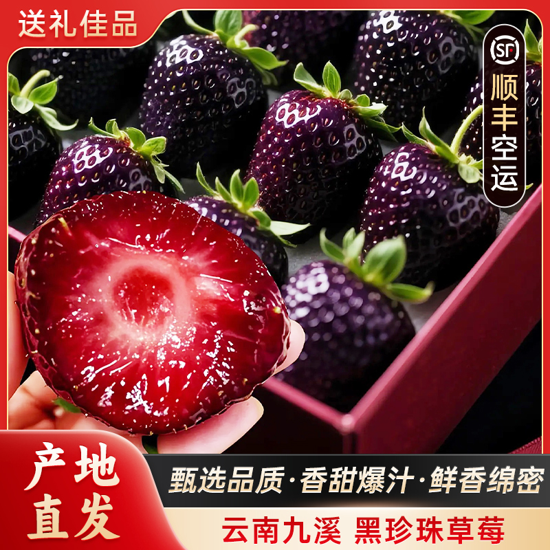 【当日采摘/顺丰空运】云南黑珍珠草莓特大果1斤真红美玲圣诞送礼盒