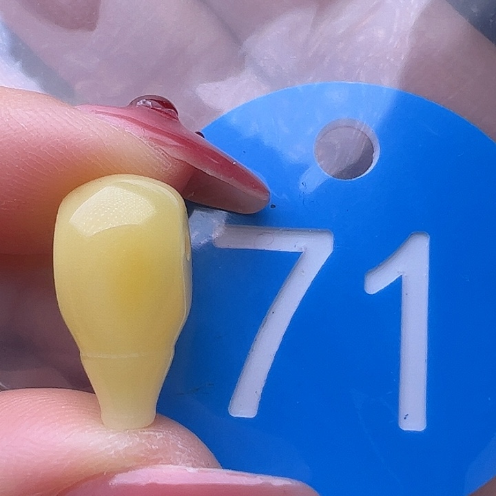 蜜蜡裸石未镶嵌8.7mm 三通