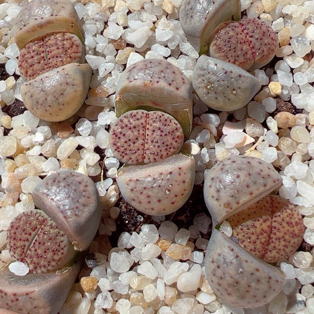 0205-223.我是真的不