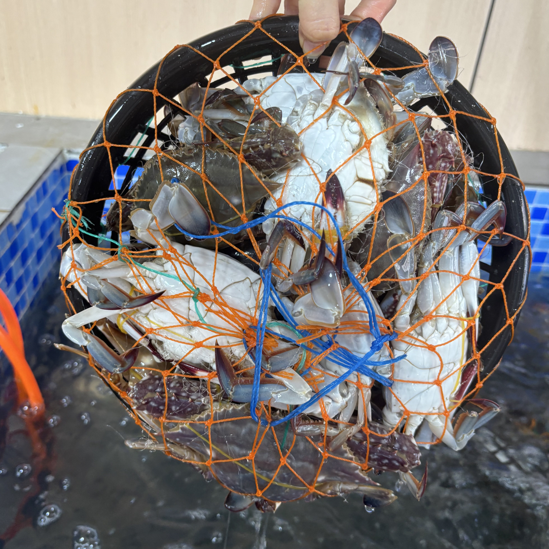 梭子蟹一筐五斤【保鲜不保活】（25-30只）（一只约2两）