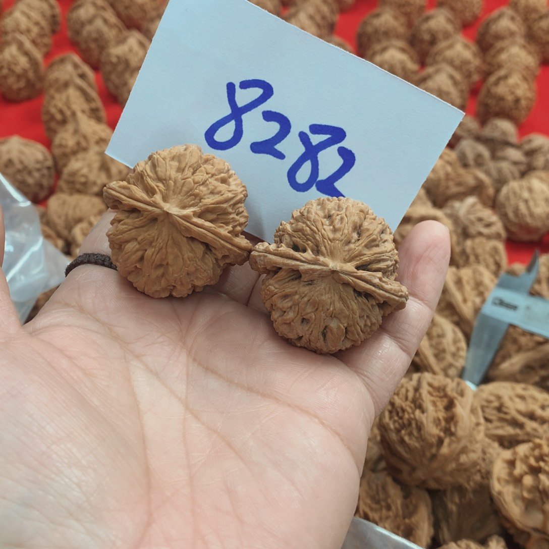 核桃手串/手链白狮子39尺