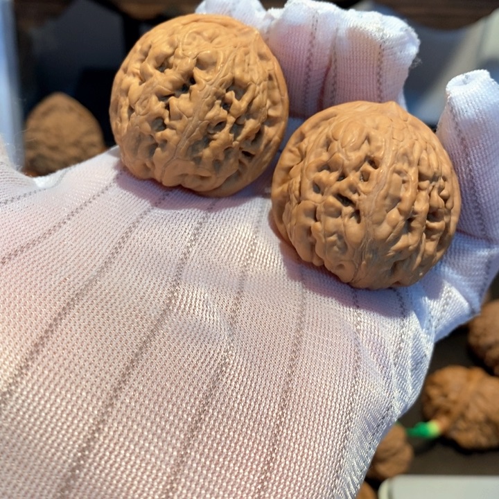 桃核吊坠37尺寸凤凰台