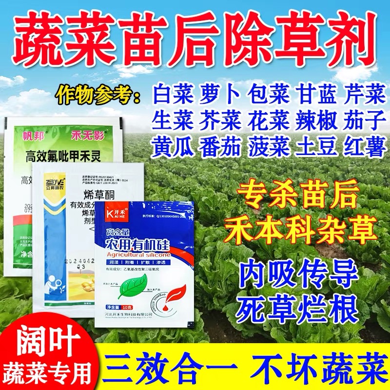 蔬菜苗后除草剂萝卜包菜甘蓝花菜地除草剂除牛筋草烂根白菜除草剂