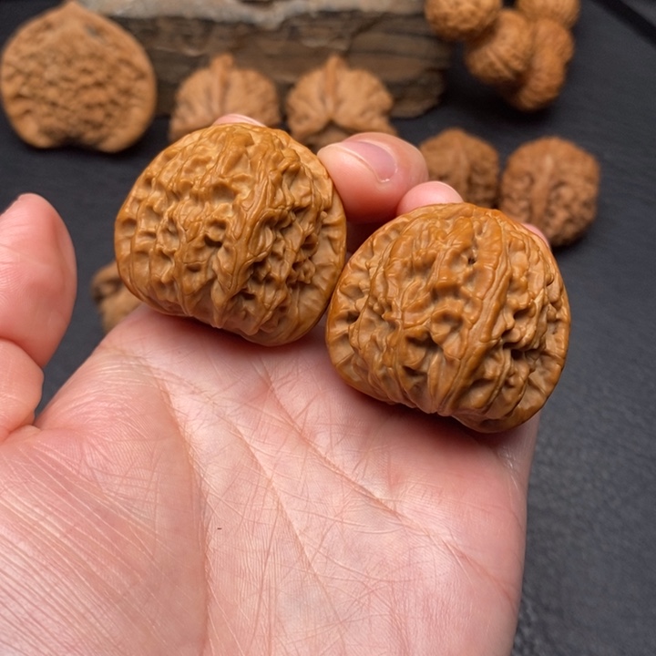 桃核把件尺寸36白狮子