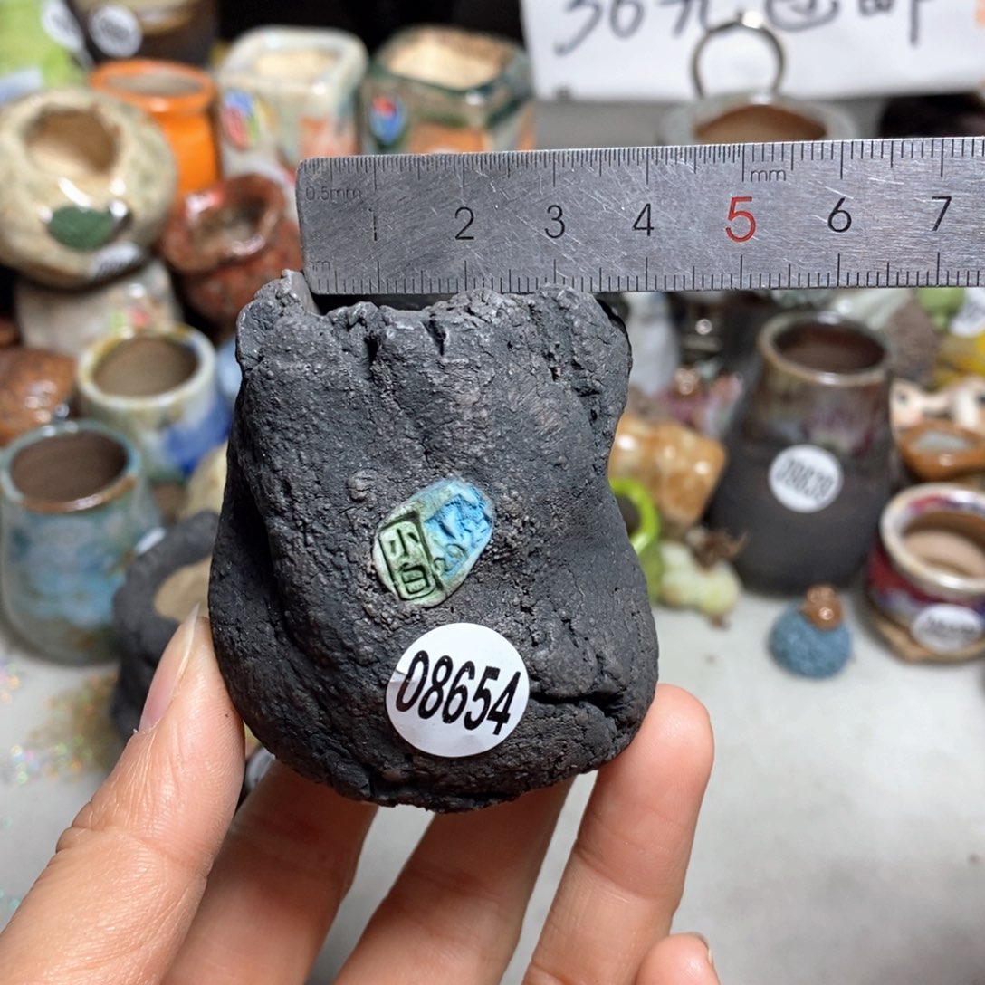 花盆拍3送一个小礼物