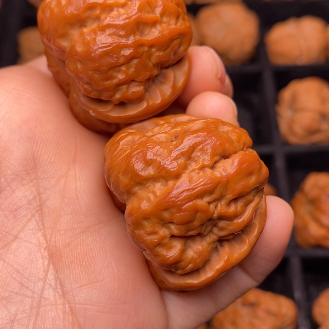 文玩核桃把件秦岭野生核桃