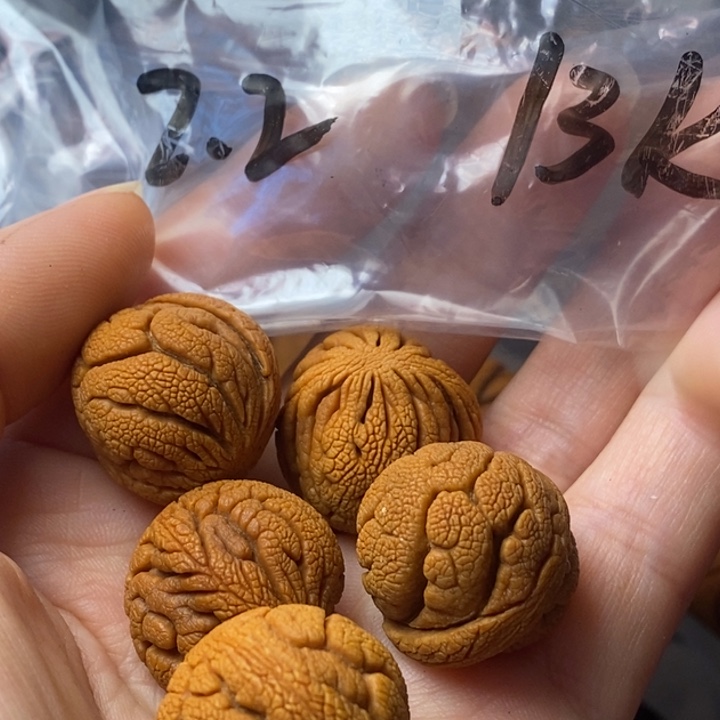 手串文玩核桃秦岭野生龙纹桃核22