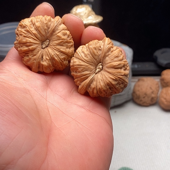 孤***龙把件文玩核桃42尺南瓜墩