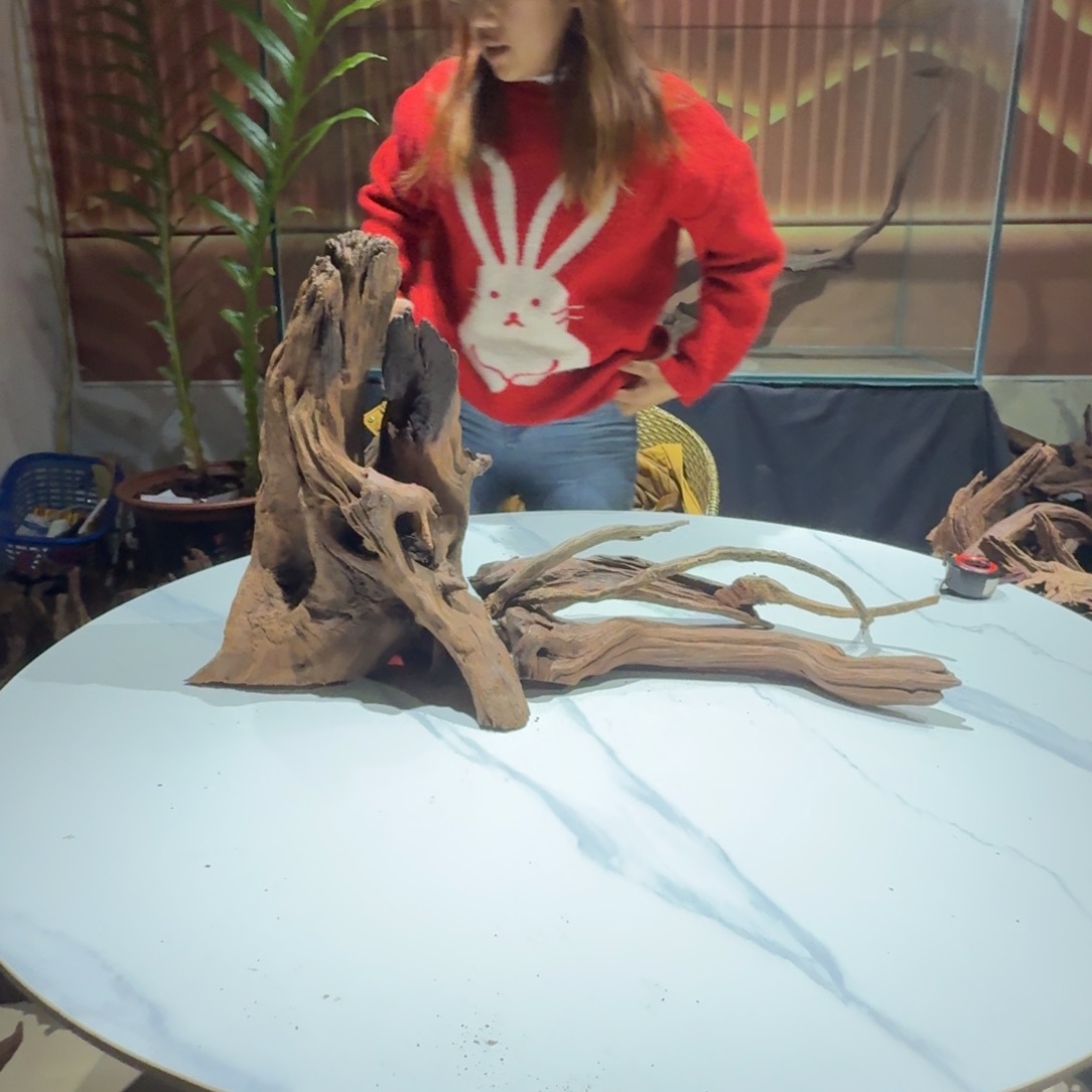 心***谣香榧木鱼缸造景 一物一拍