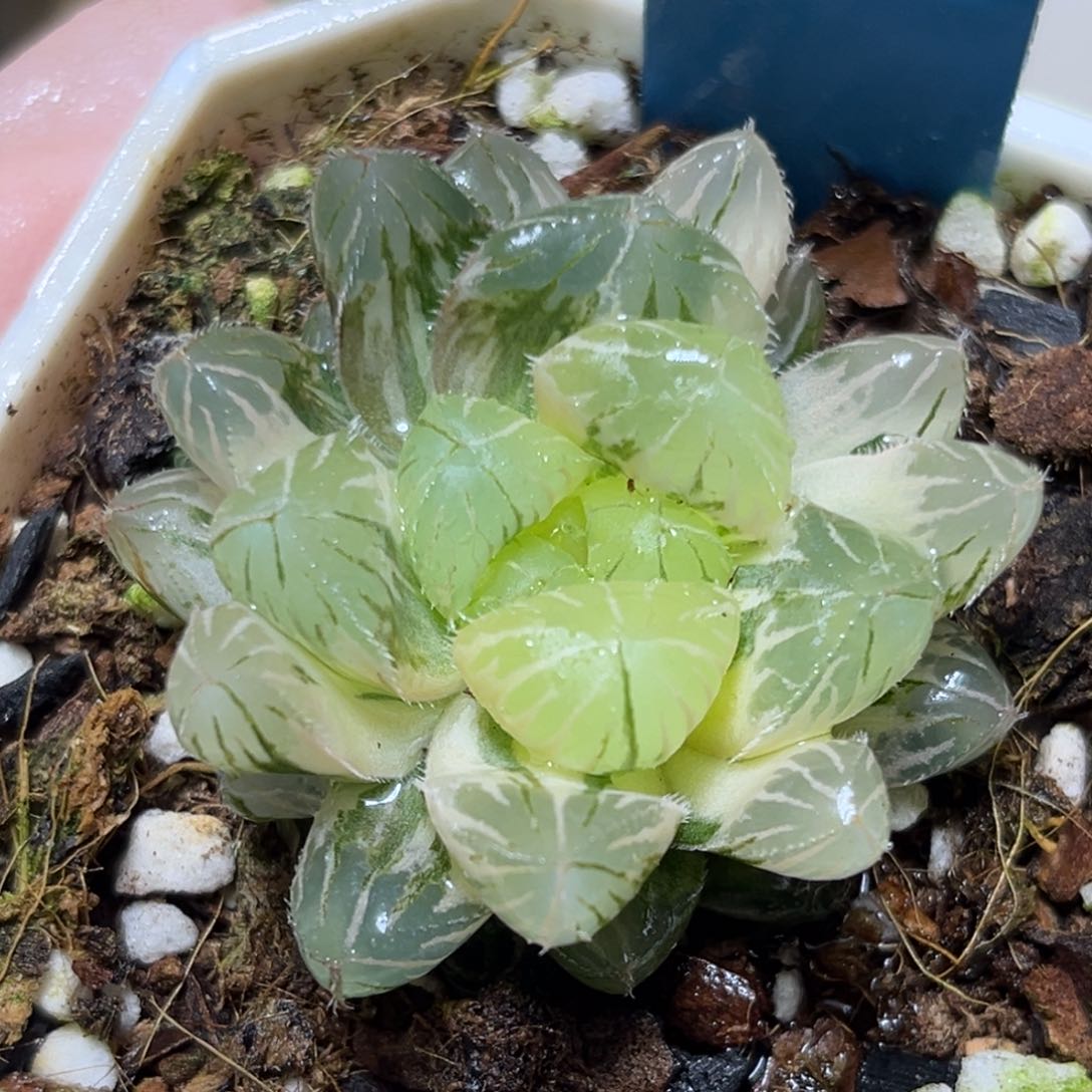 恭喜发财大吉大利0123