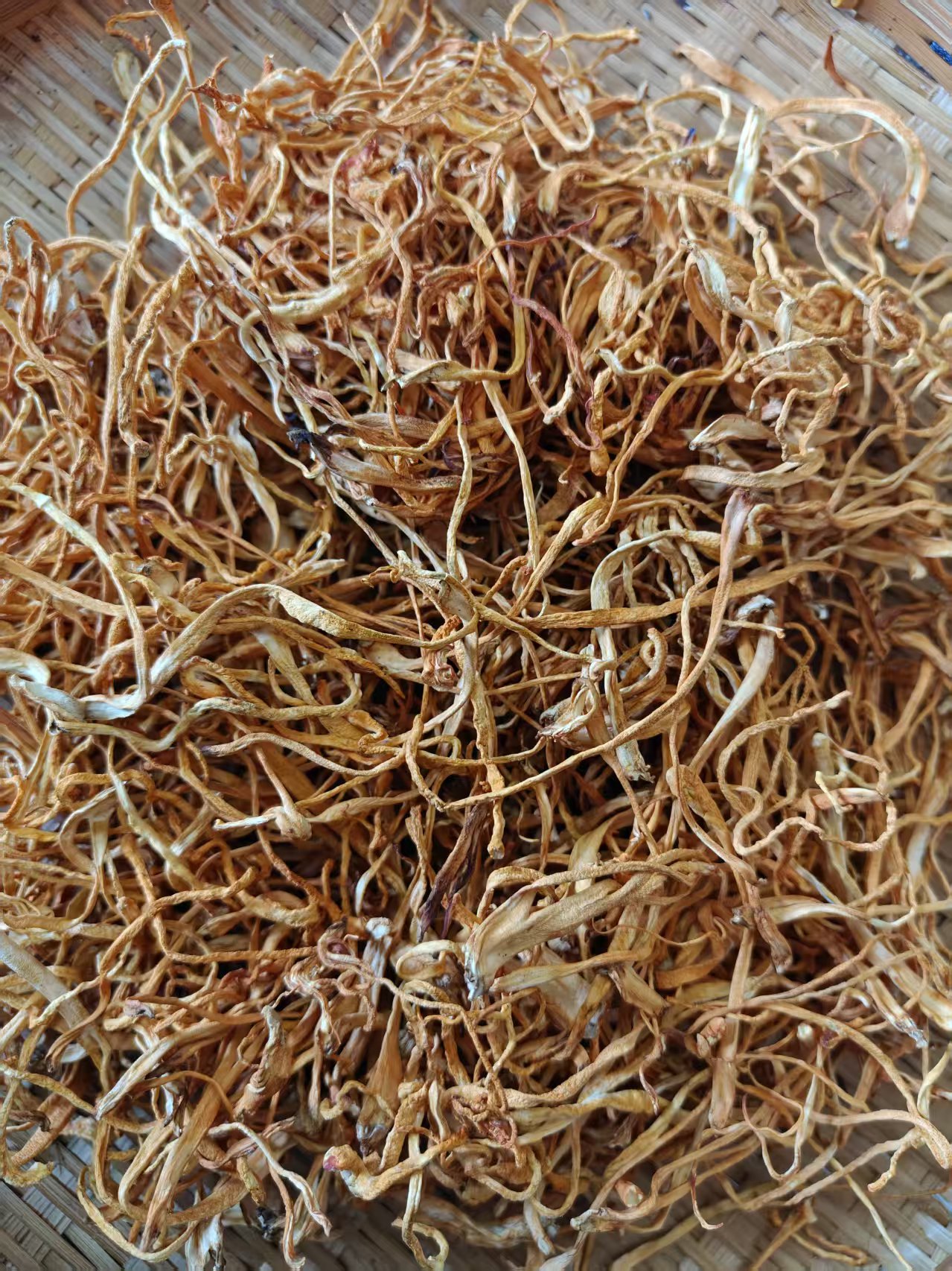 [豆豆专属]云南山货干货虫草花