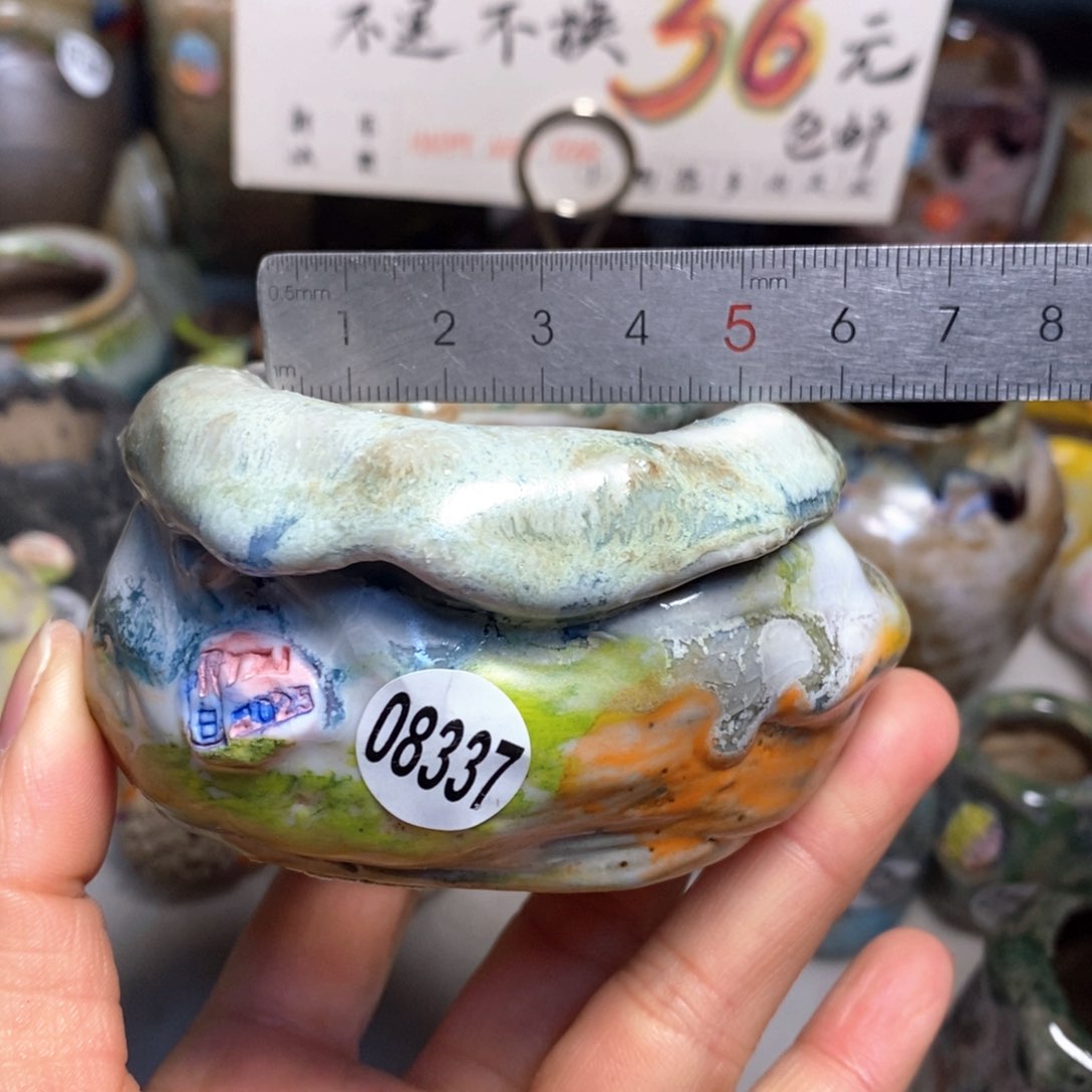 花盆拍3送一个小礼物