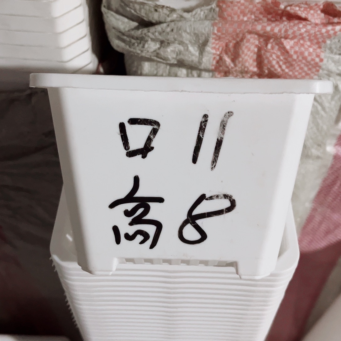 塑料福利款11方白色盆30个无托