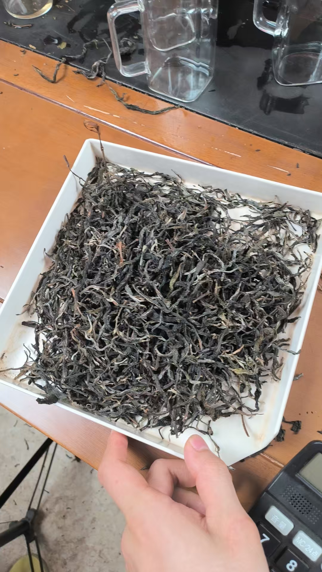 24年纳罕贡茶古树散茶BT0779-YING06.0-513