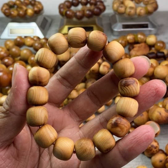 柏木（崖柏）崖柏1314