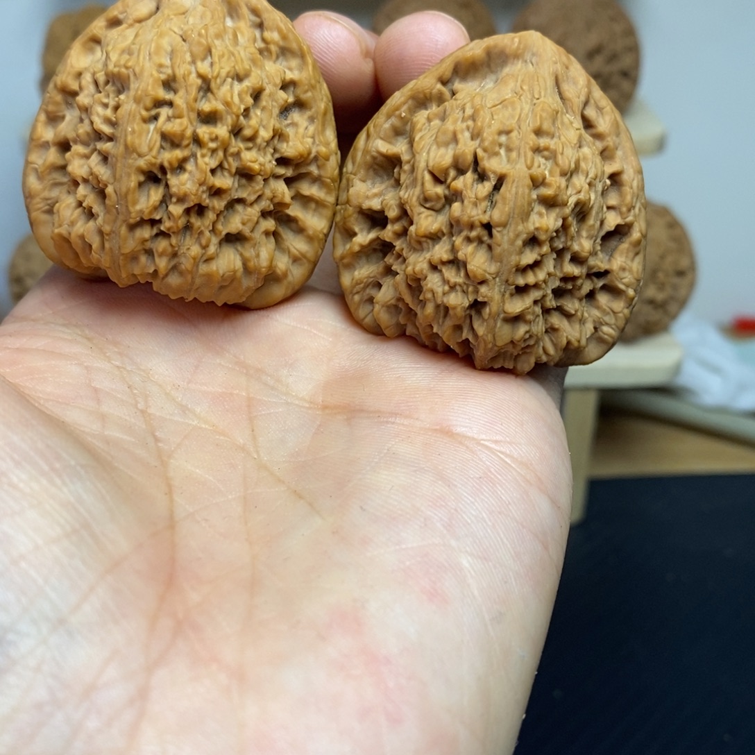 大叶紫檀（黑酸枝木类）43南疆