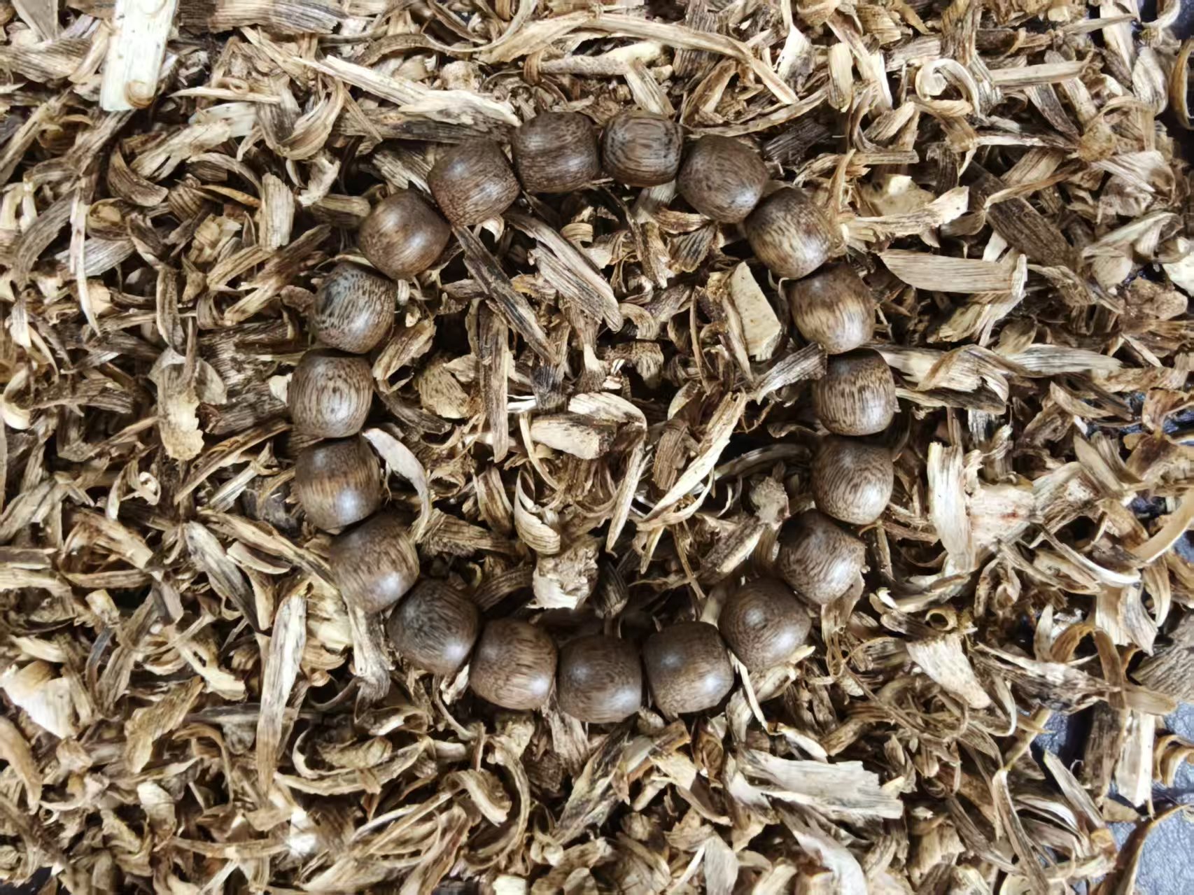 沉香TD10白棋留疤桶珠+沉香碎屑20