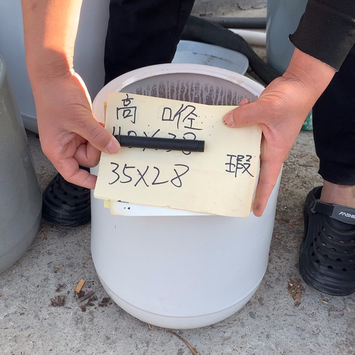 花盆包邮包破损的