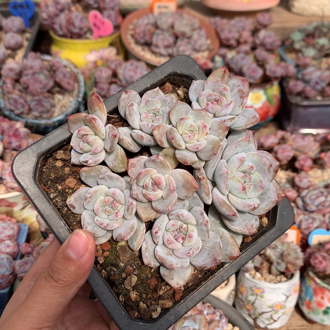 哈哈哈哈哈哈哈哈7