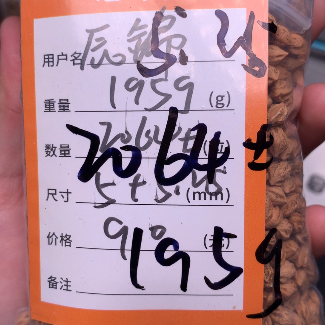 辰***锦热振柏香散籽脖挂