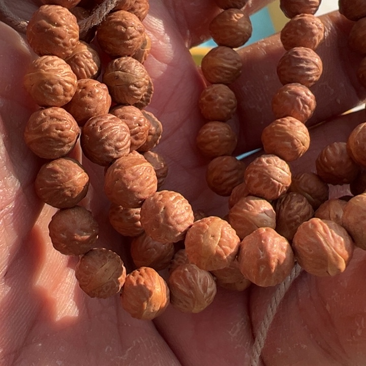 囍***凤眼菩提吊坠文玩酸枣核