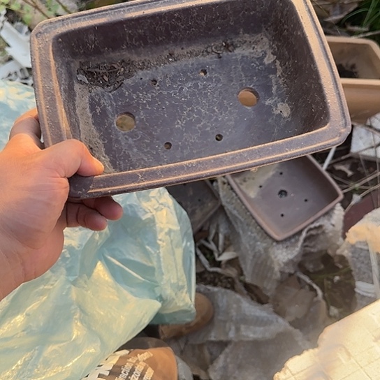 不说算什么呀亲爱的在那你干吧