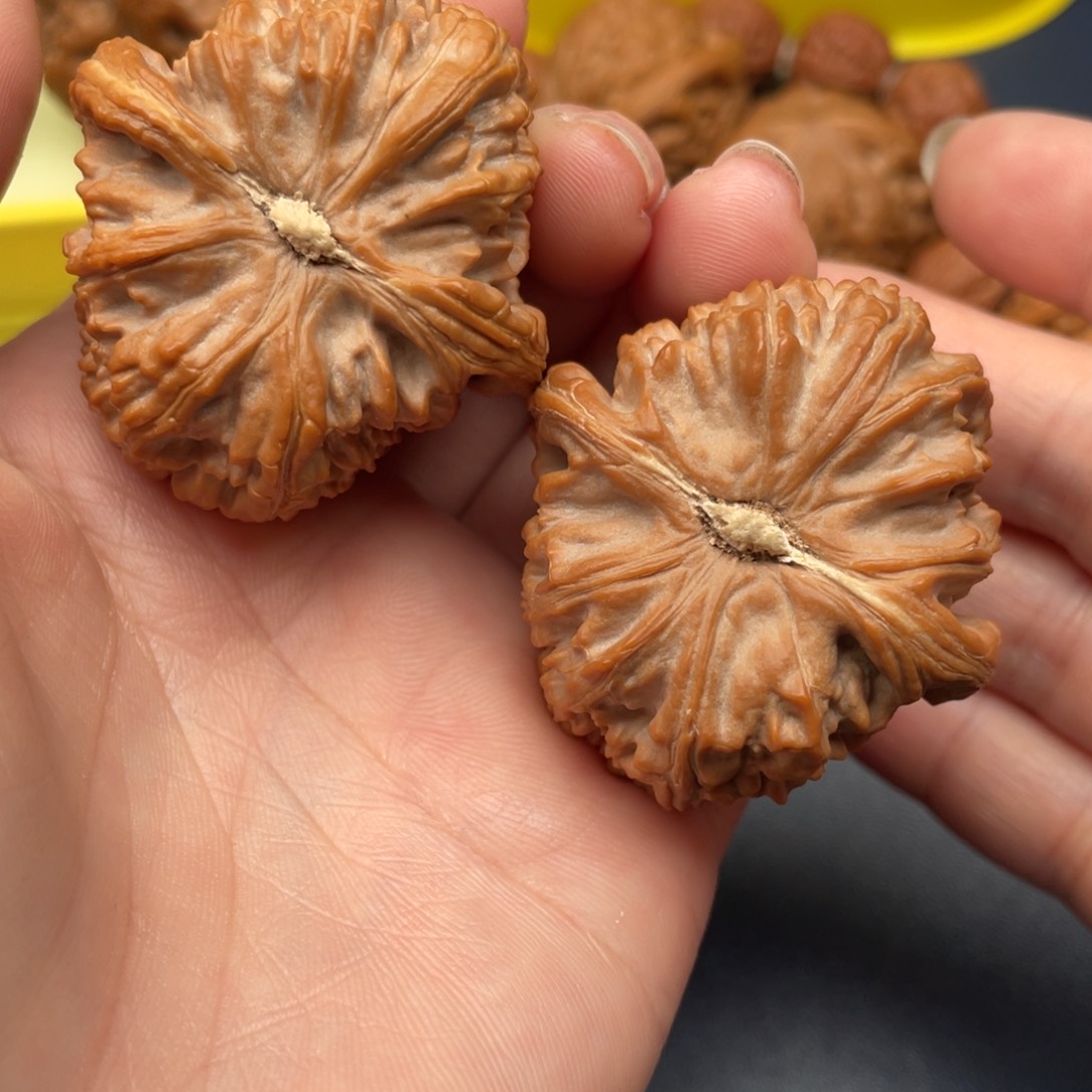 文玩核桃把件再***书白狮子40