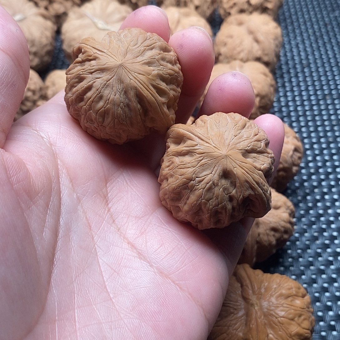 吊坠文玩核桃核桃