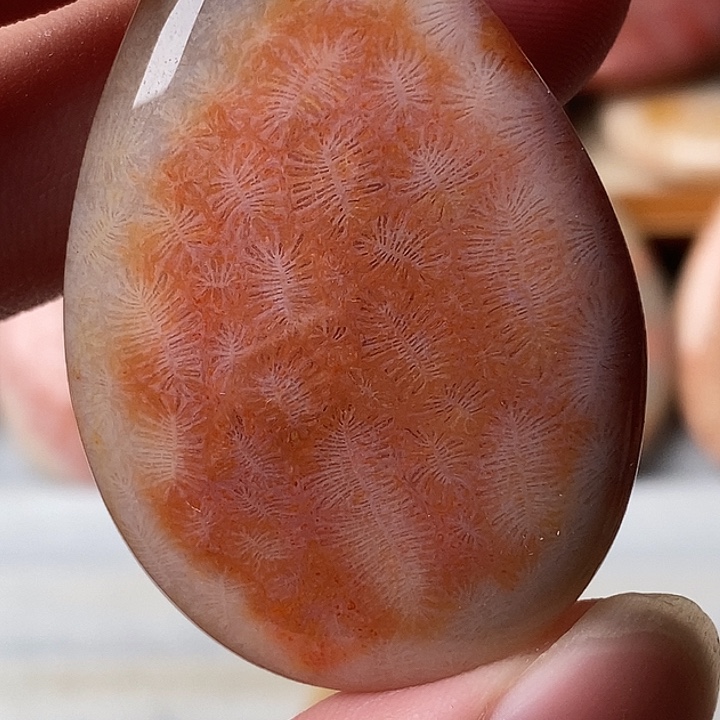 宝***碗硅化玉未镶嵌颈饰