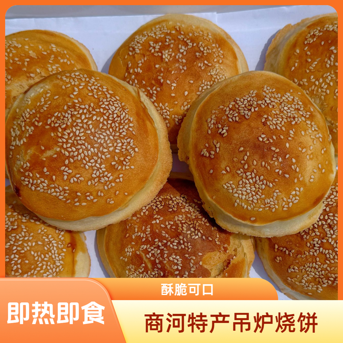 【包邮】商河特产商河马蹄烧饼吊炉烧饼（二十个装）