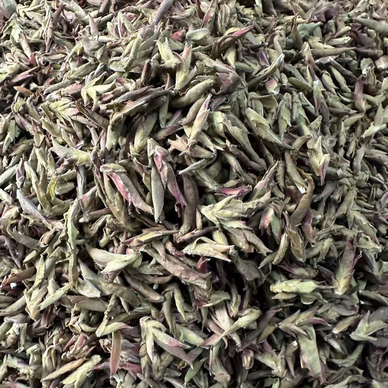 12059-2024年-邦东大雪山紫芽苞-白茶散料-3/