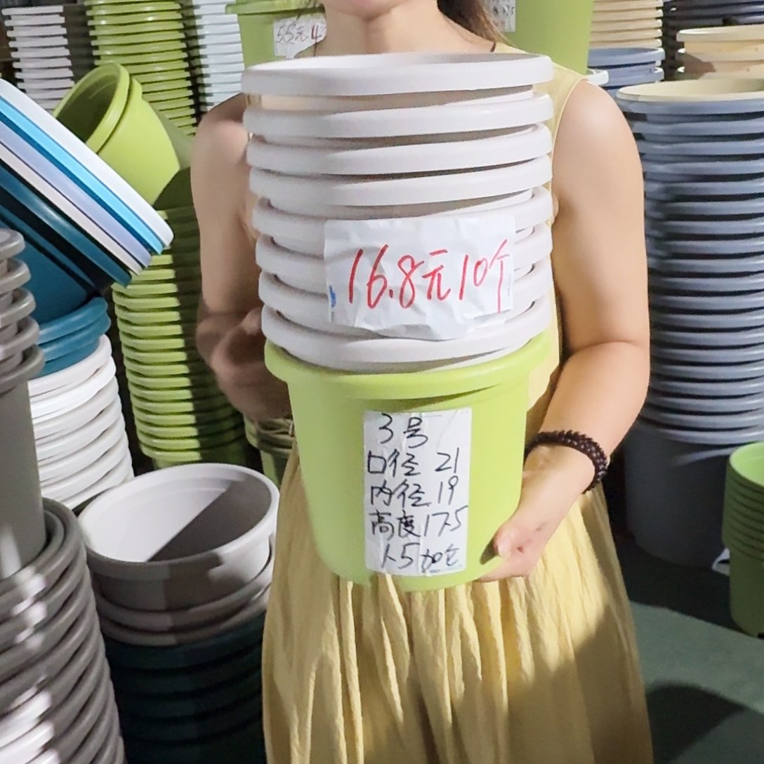 微瑕3#无拖果绿10个