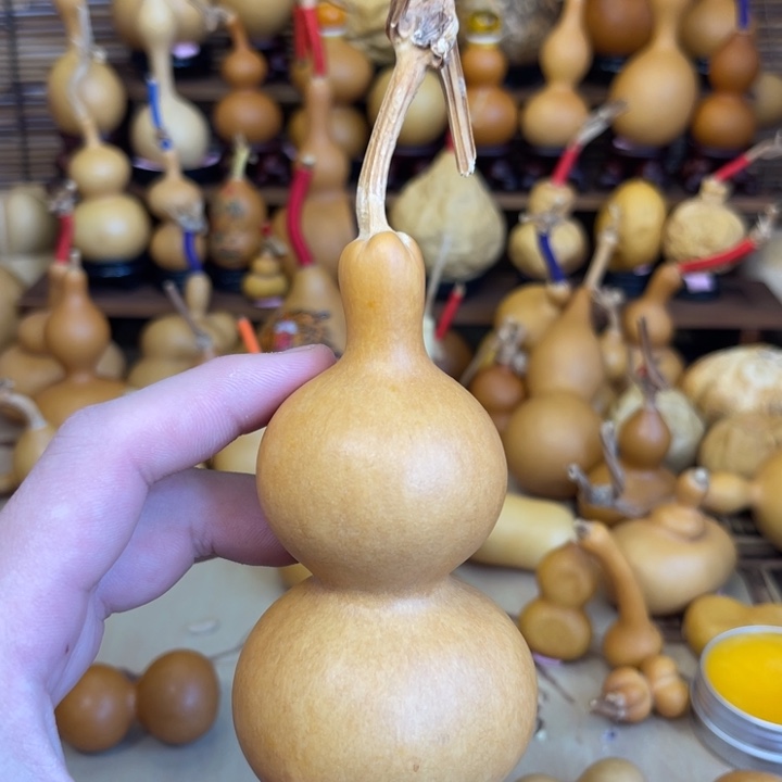 三角肚粗嘴八宝厚皮响籽8