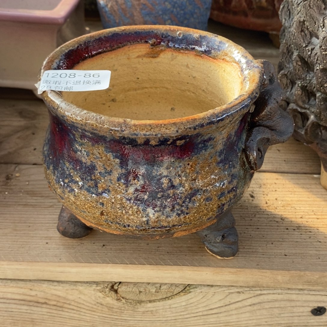 86号多肉盆口径9小可爱