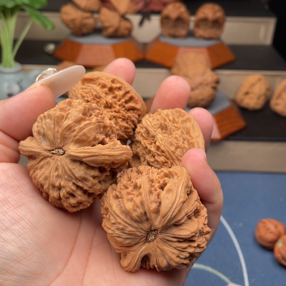 文玩核桃把件核桃