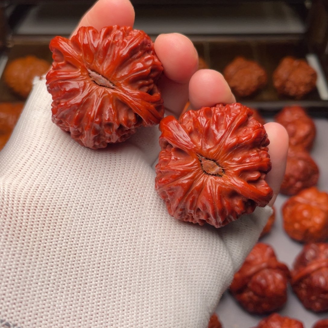 文玩核桃把件小**兜白狮子42