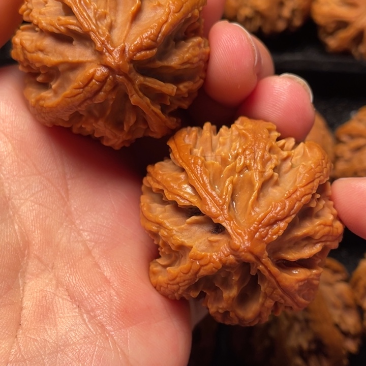 文玩核桃把件秦岭山脉核桃