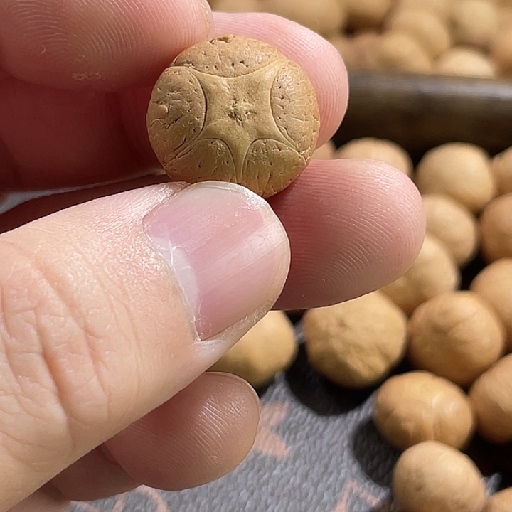 吊坠凤眼菩提尼泊尔小凤眼