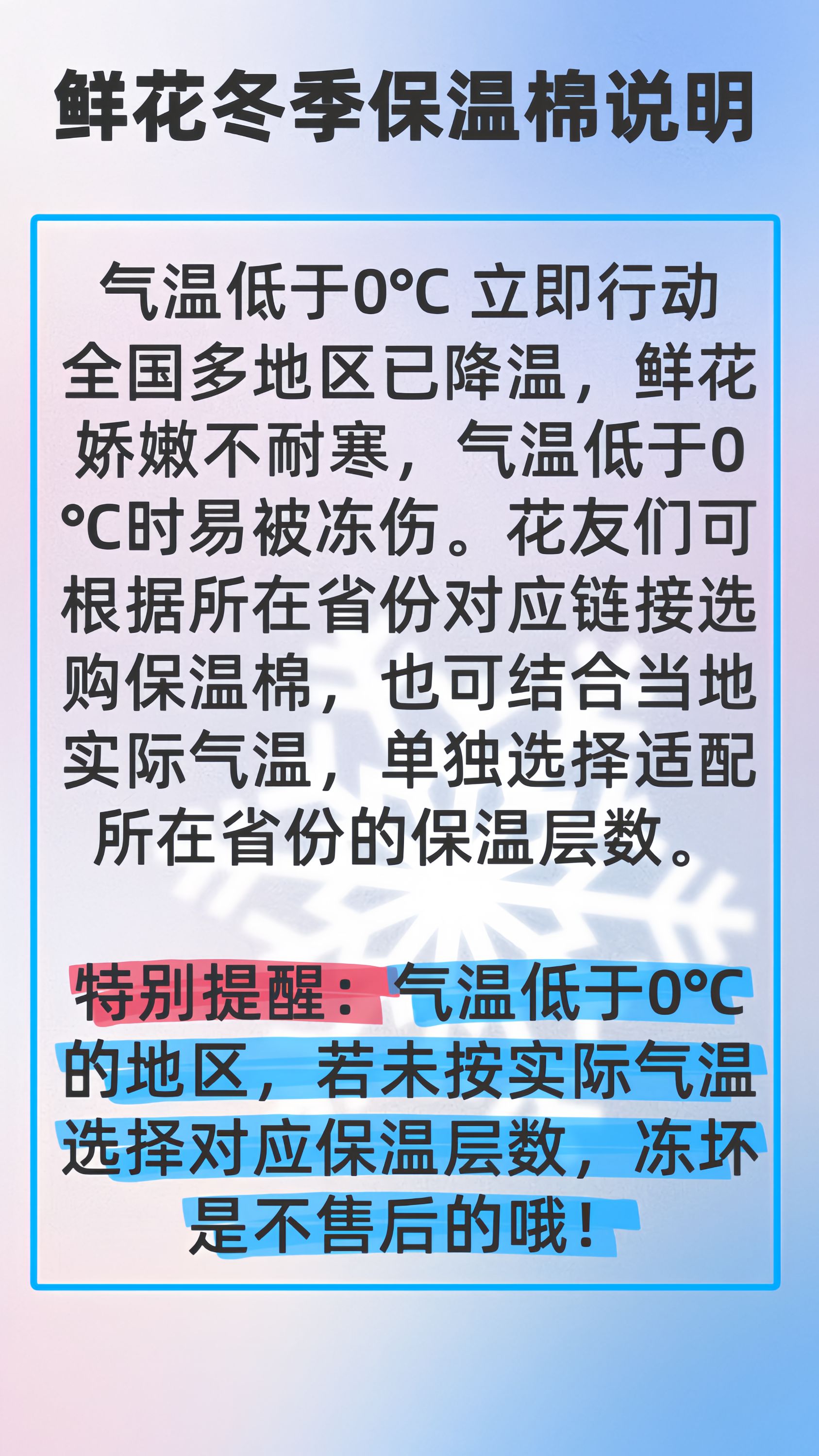 【0度以下必须拍保温棉】长寿花加棉保温专属单独拍无售后