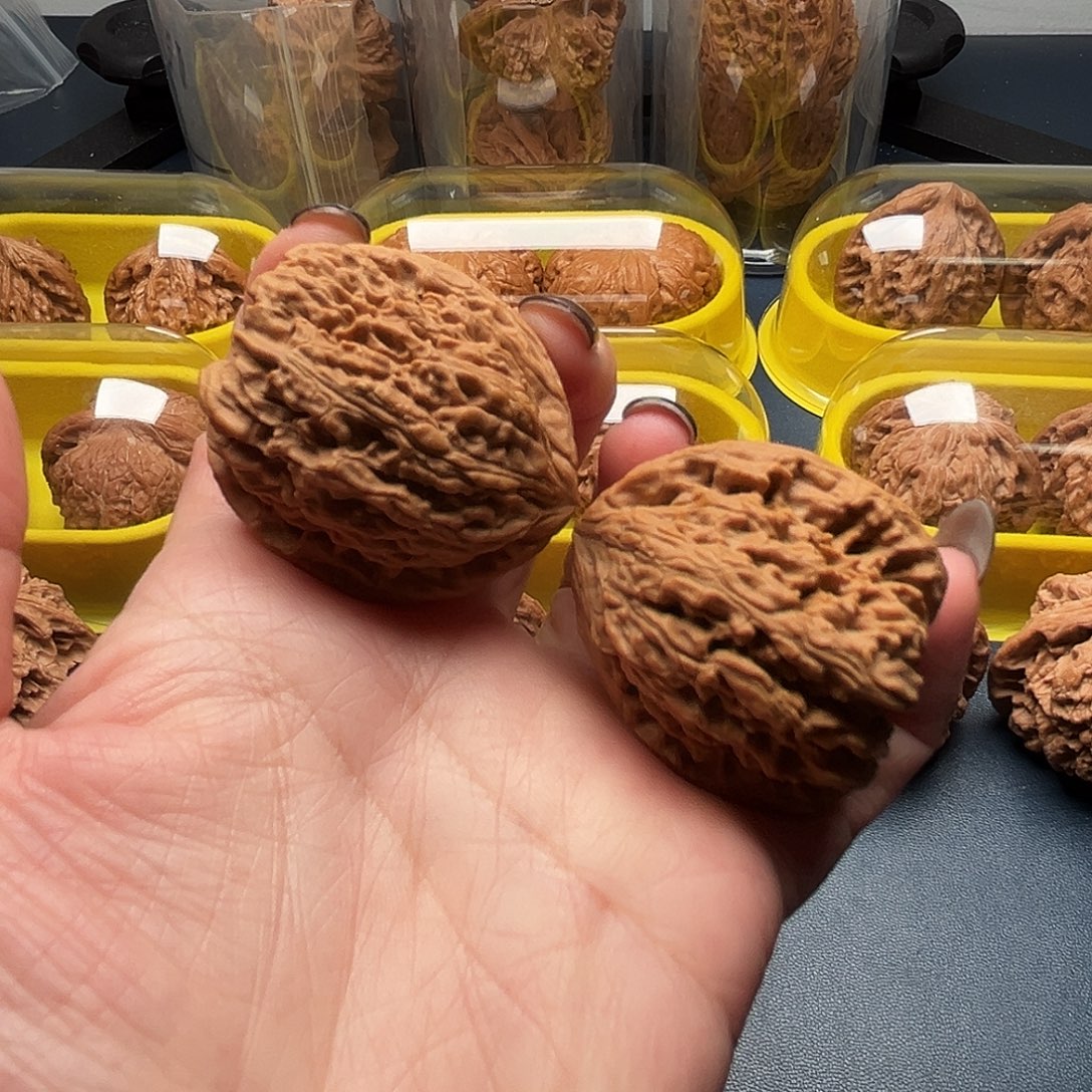 核桃36尺寸高炮南疆