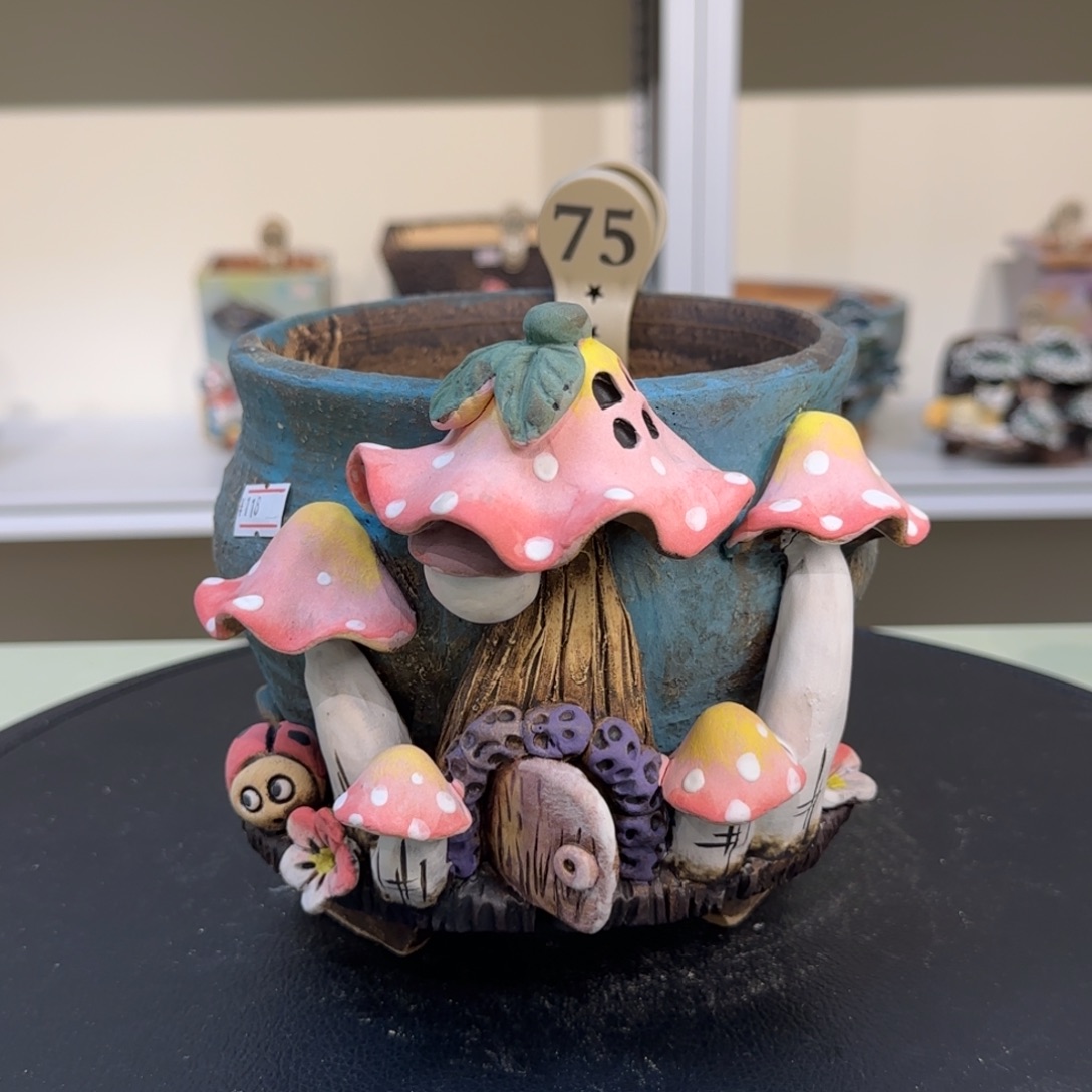 ღ***…75 【闪购】多肉花盆