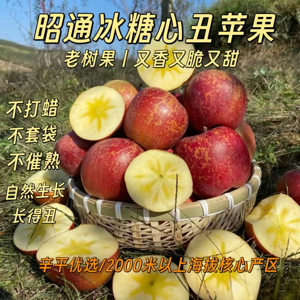 【辛平优选】正宗云南昭通丑苹果5斤新鲜现摘脆甜多汁水果