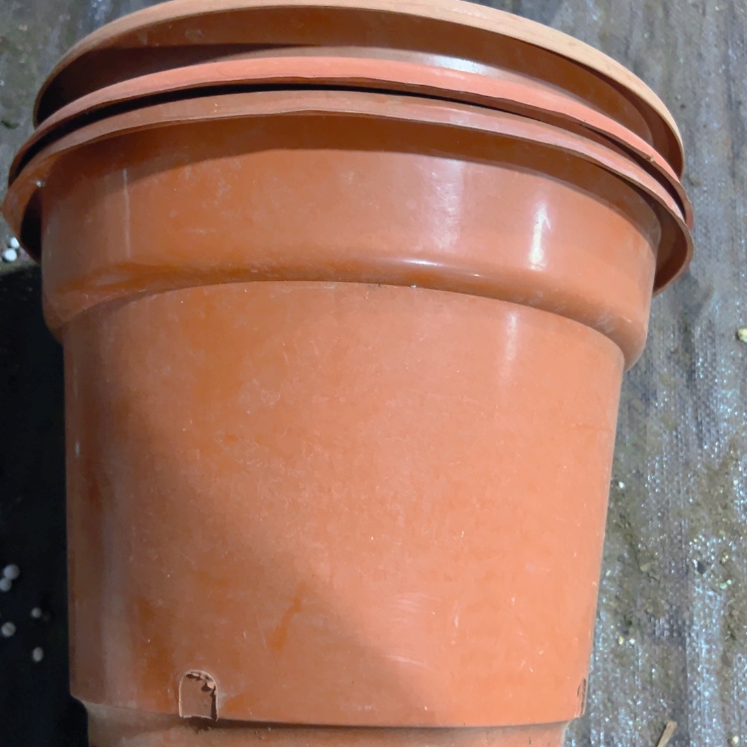 红圆盆32口径25高 3个