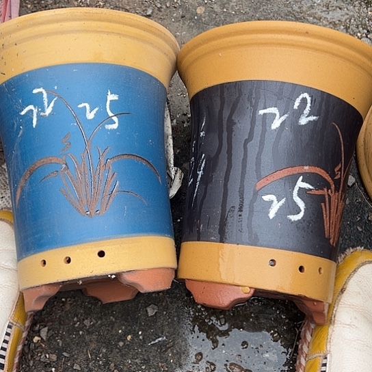 紫砂工艺厂……紫砂工艺厂……